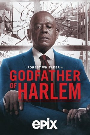 Godfather of Harlem