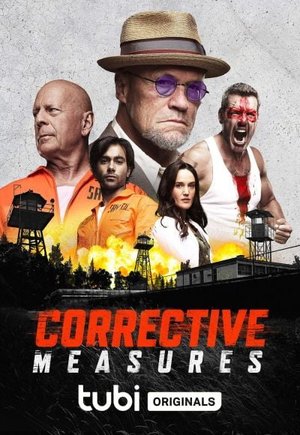 Corrective Measures