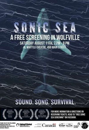 Sonic Sea