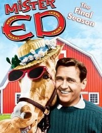 Mister Ed