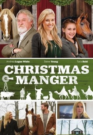Christmas Manger
