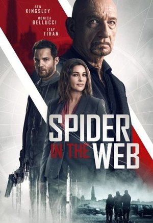 Spider in the Web