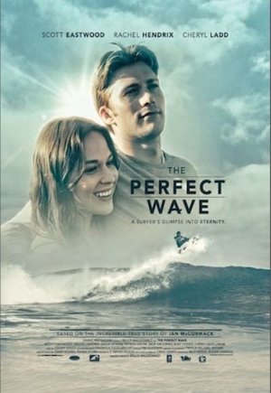 The Perfect Wave